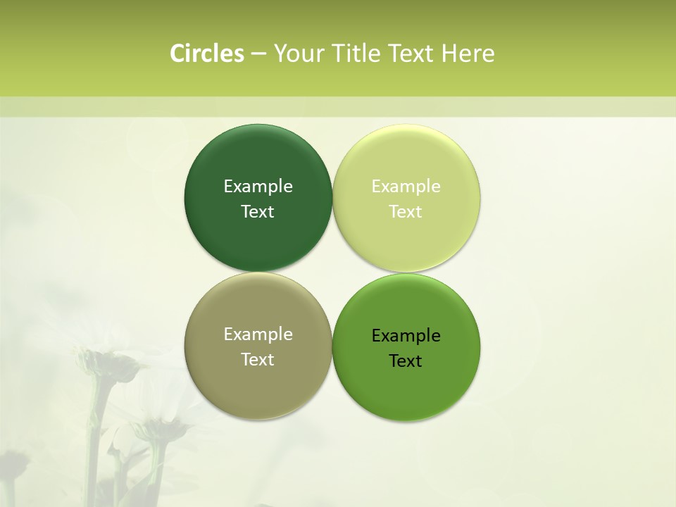 Abstract Spring Macro PowerPoint Template