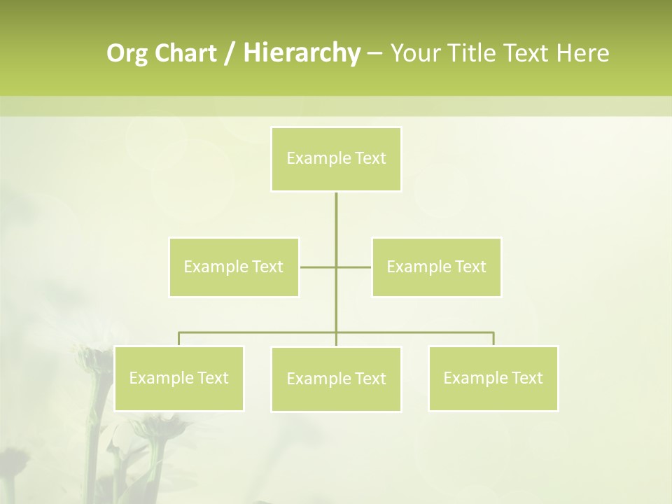 Abstract Spring Macro PowerPoint Template
