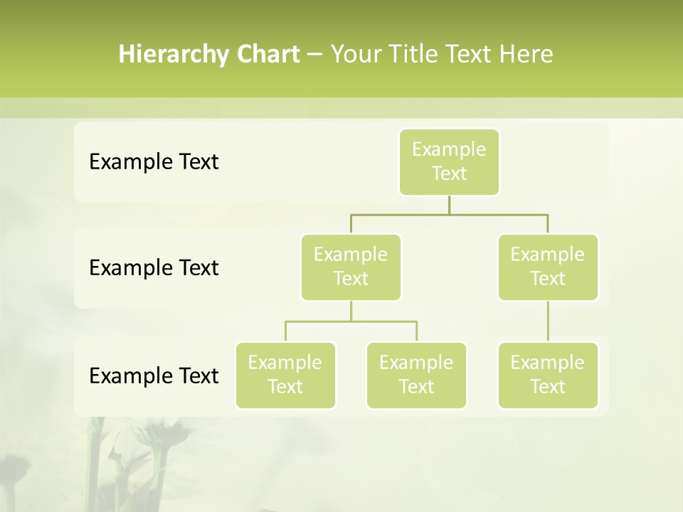 Abstract Spring Macro PowerPoint Template