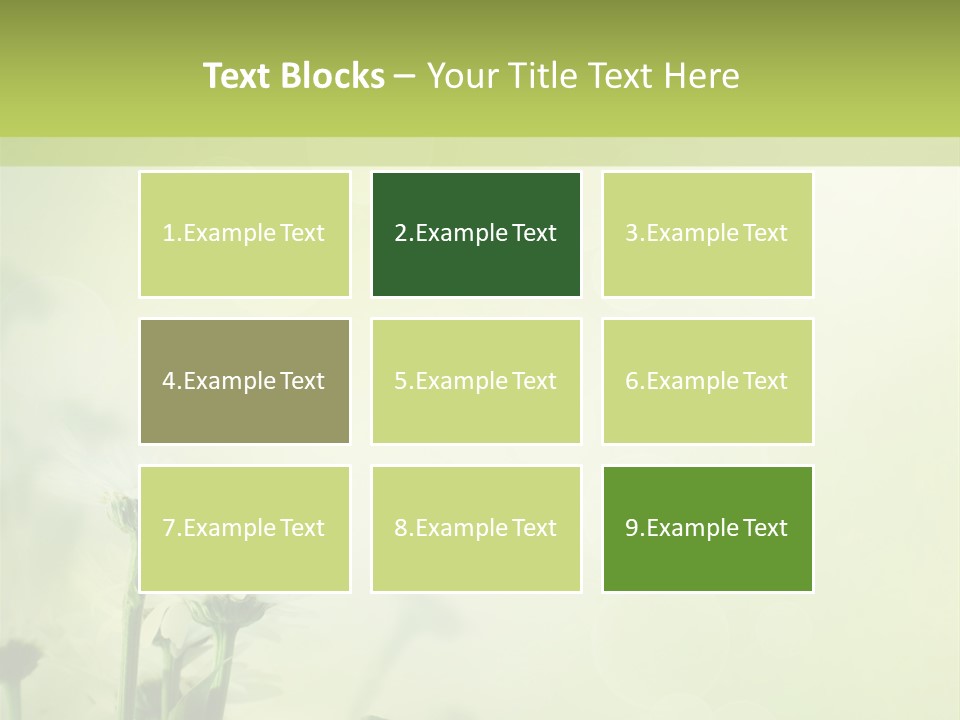 Abstract Spring Macro PowerPoint Template