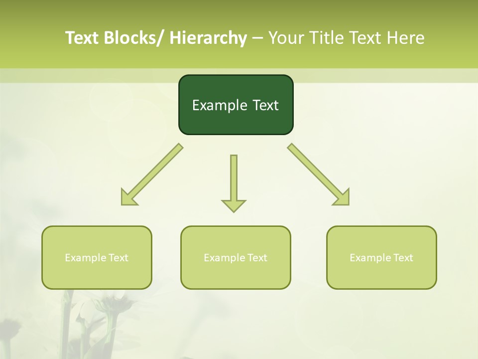 Abstract Spring Macro PowerPoint Template