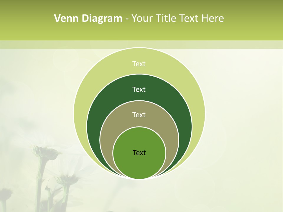 Abstract Spring Macro PowerPoint Template