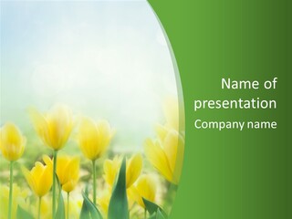 Defocused Sunny Bouquet PowerPoint Template