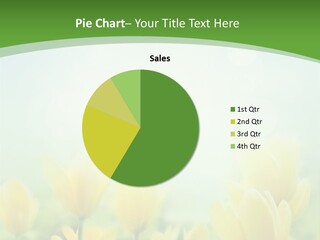 Defocused Sunny Bouquet PowerPoint Template