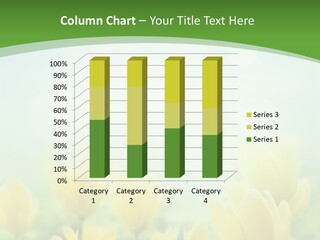 Defocused Sunny Bouquet PowerPoint Template