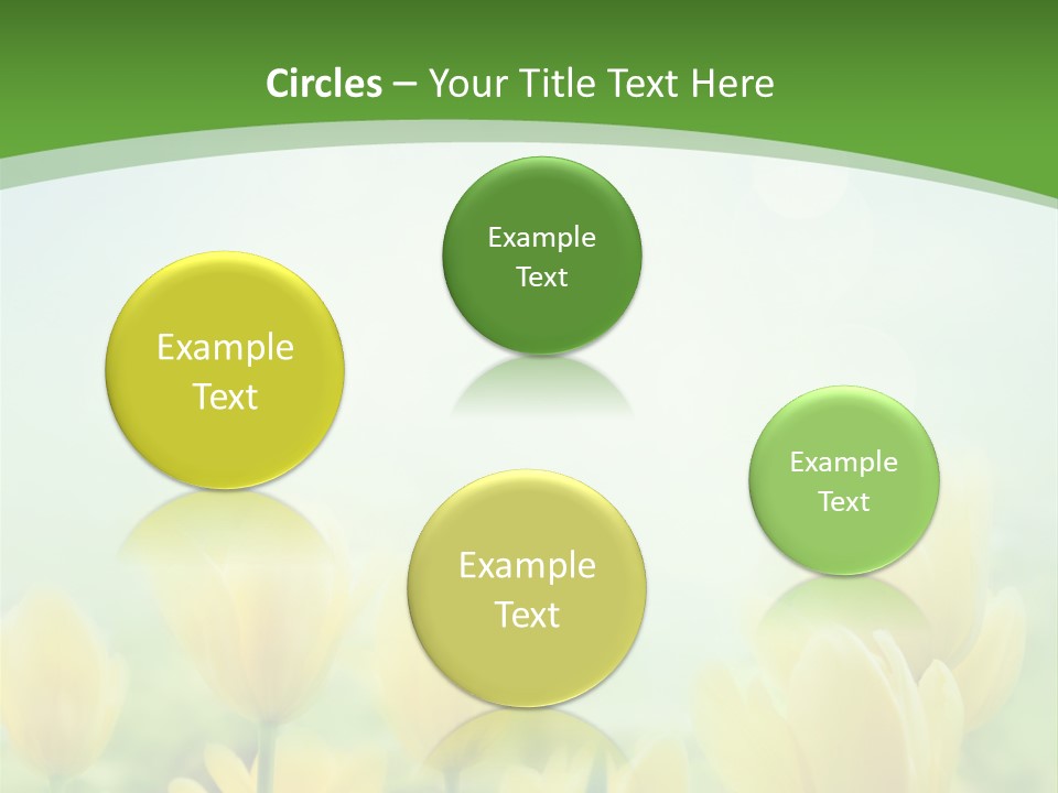 Defocused Sunny Bouquet PowerPoint Template