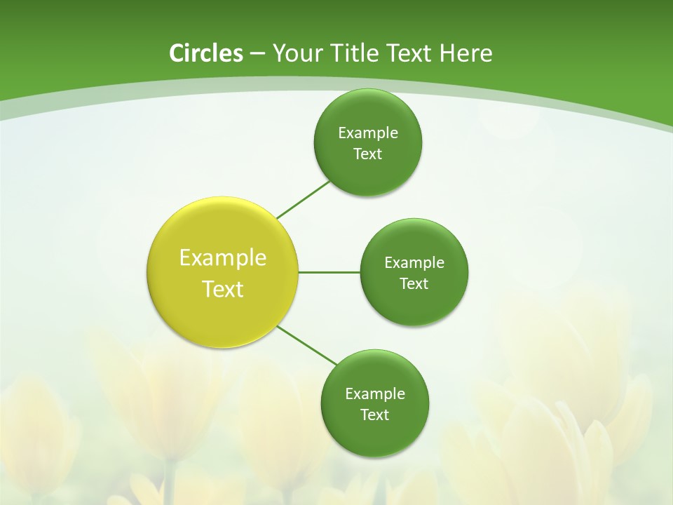 Defocused Sunny Bouquet PowerPoint Template