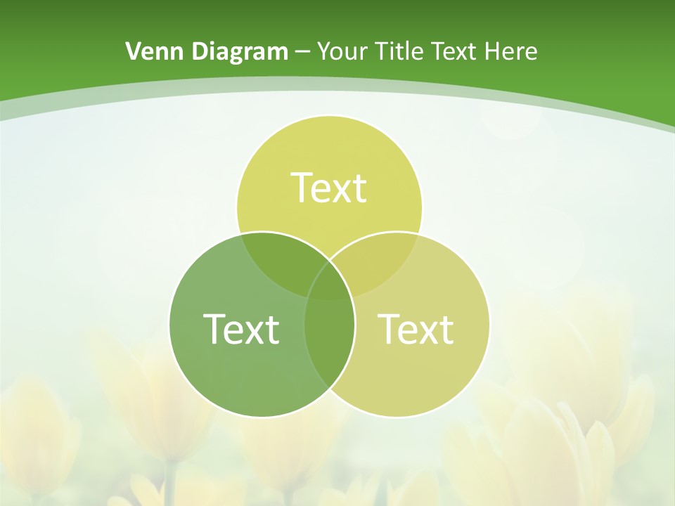 Defocused Sunny Bouquet PowerPoint Template
