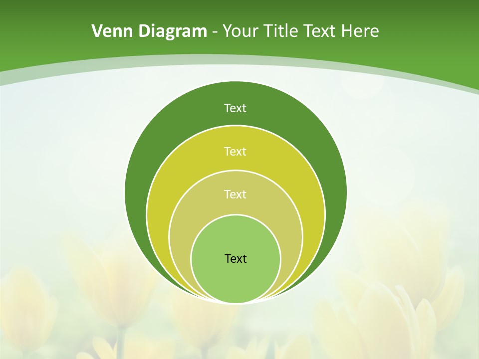 Defocused Sunny Bouquet PowerPoint Template