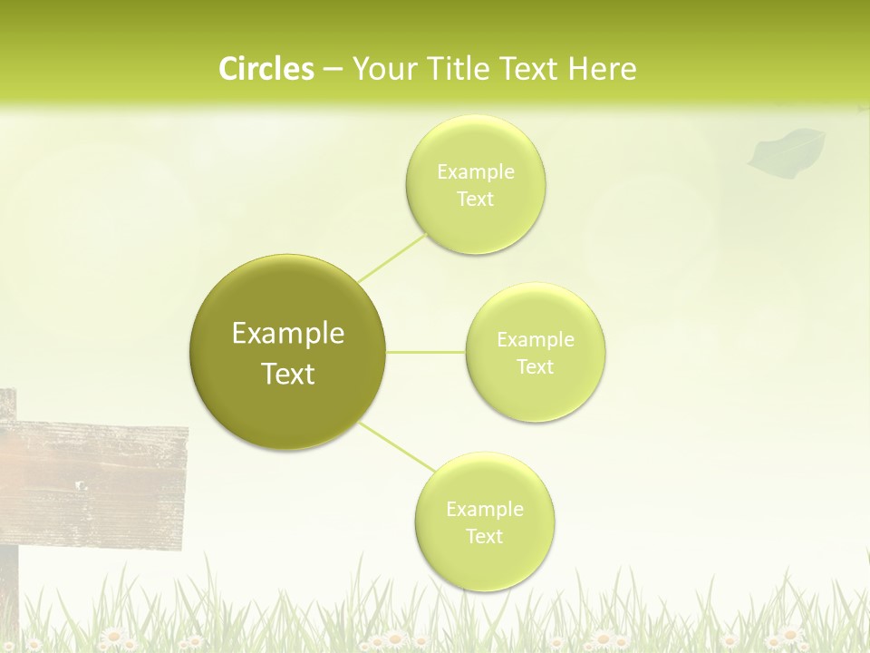 A Wooden Bench Sitting In The Middle Of A Field PowerPoint Template