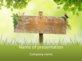 A Wooden Sign Sitting On Top Of A Lush Green Field PowerPoint Template
