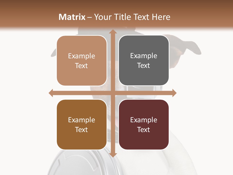 Show Photography Vision PowerPoint Template