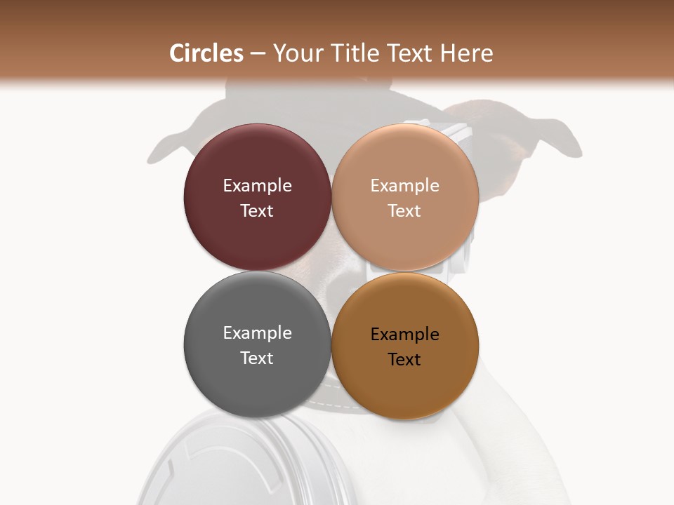 Show Photography Vision PowerPoint Template