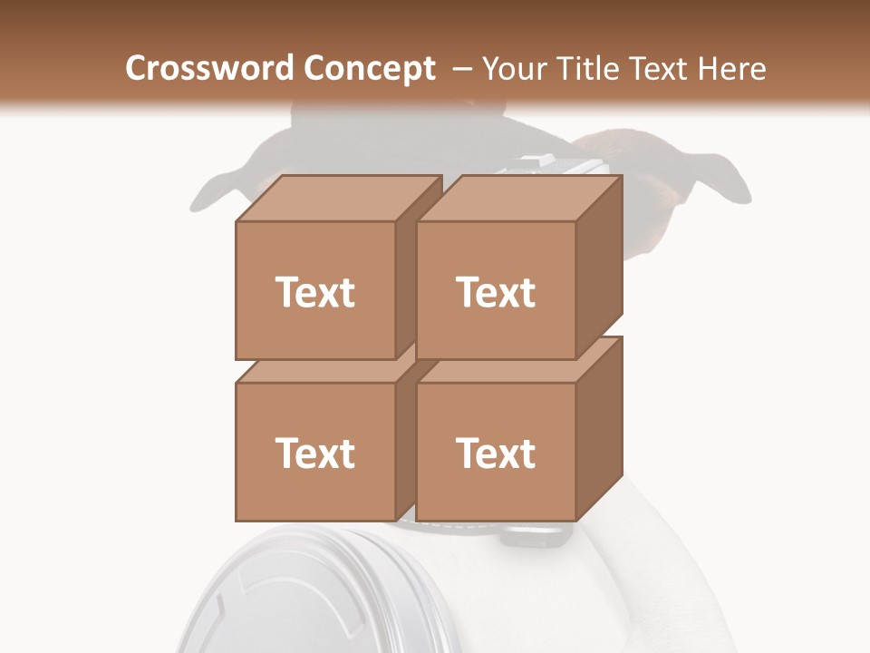 Show Photography Vision PowerPoint Template