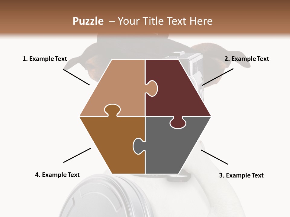 Show Photography Vision PowerPoint Template
