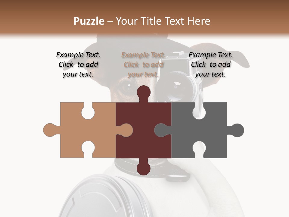 Show Photography Vision PowerPoint Template