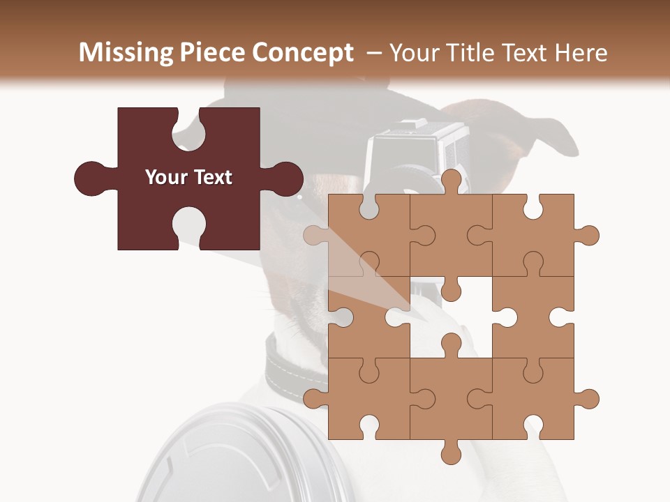 Show Photography Vision PowerPoint Template