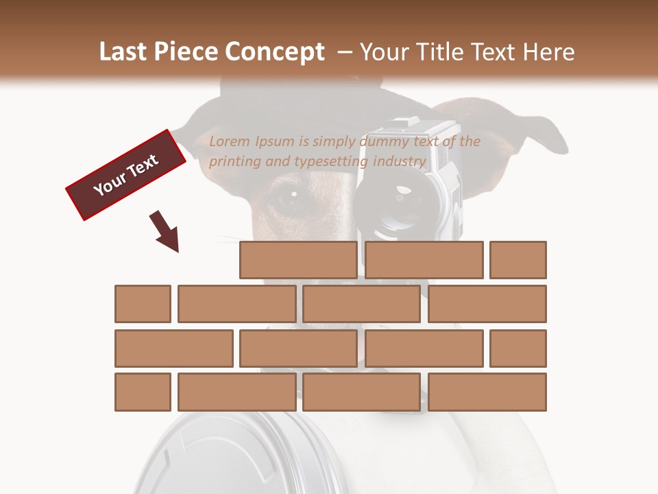Show Photography Vision PowerPoint Template