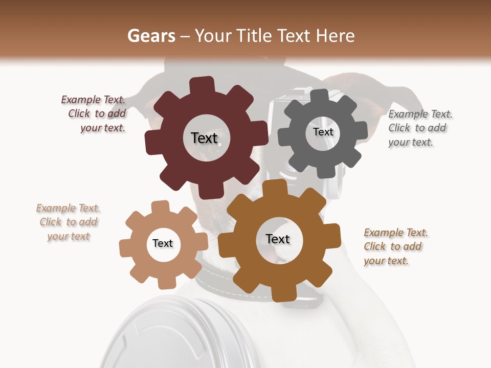 Show Photography Vision PowerPoint Template