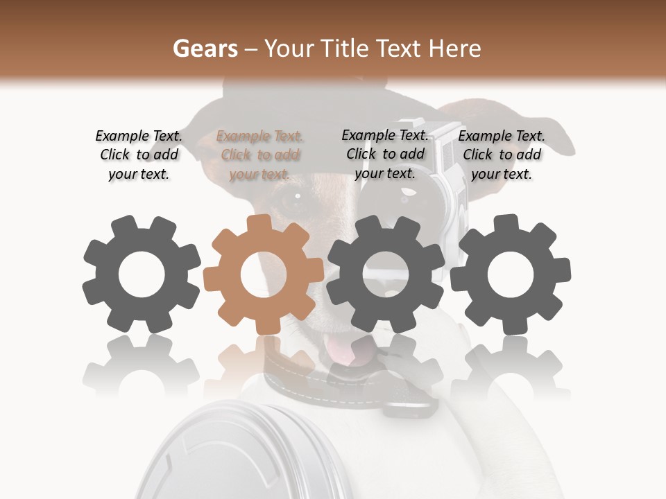 Show Photography Vision PowerPoint Template