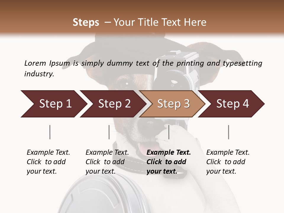 Show Photography Vision PowerPoint Template