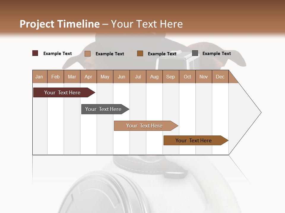 Show Photography Vision PowerPoint Template