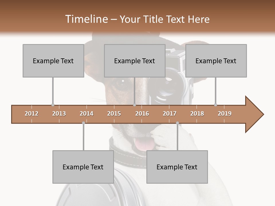 Show Photography Vision PowerPoint Template