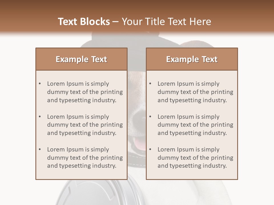 Show Photography Vision PowerPoint Template