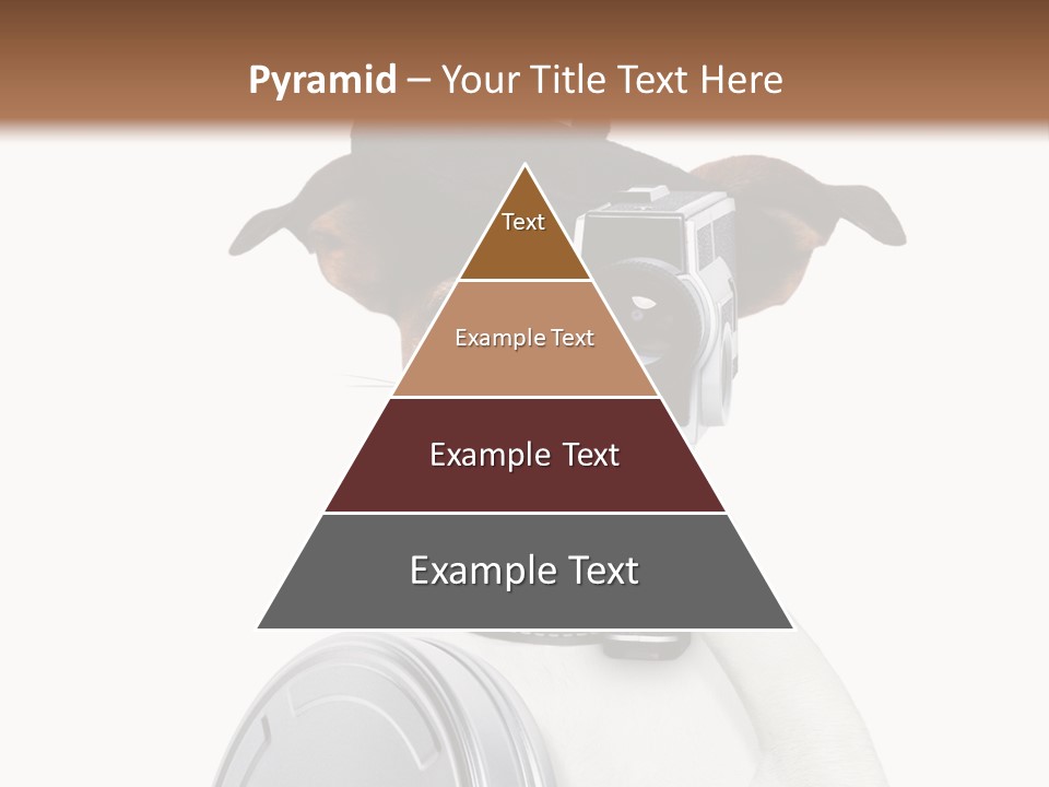 Show Photography Vision PowerPoint Template