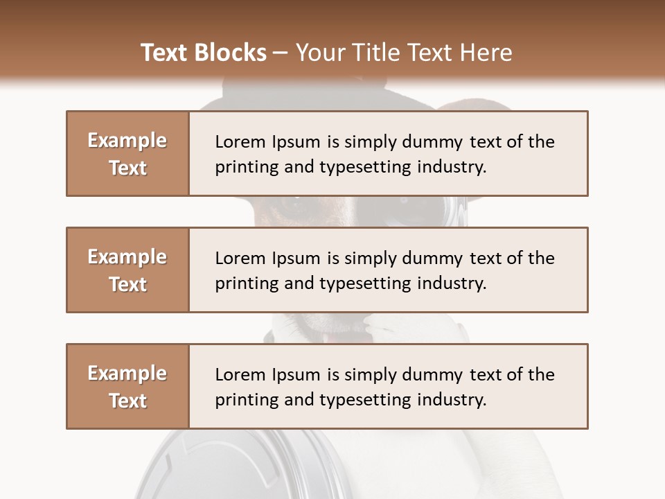 Show Photography Vision PowerPoint Template