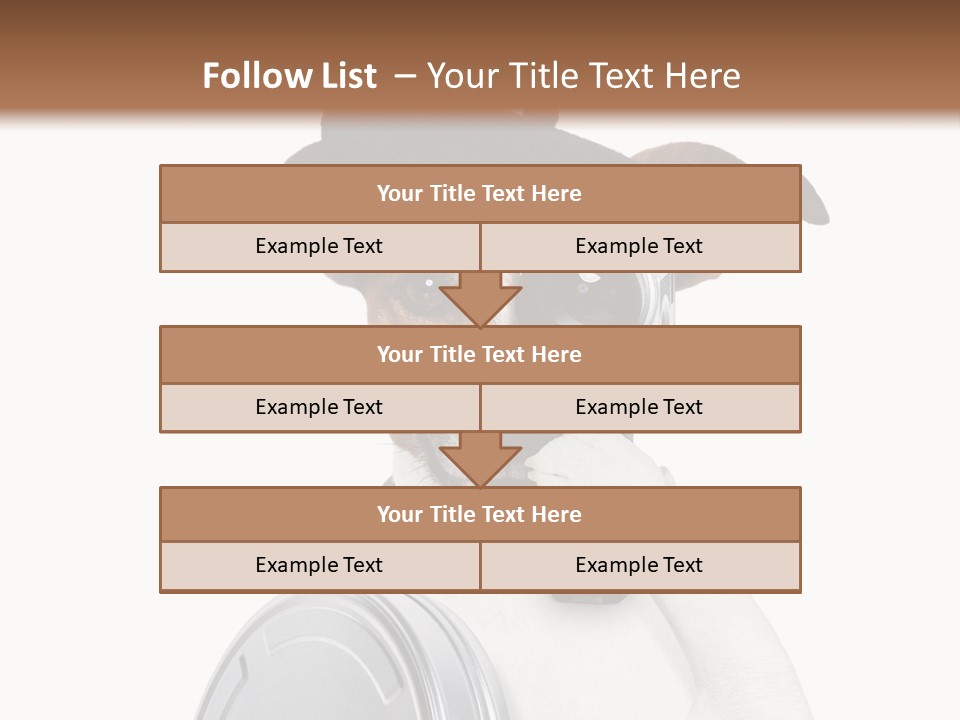 Show Photography Vision PowerPoint Template
