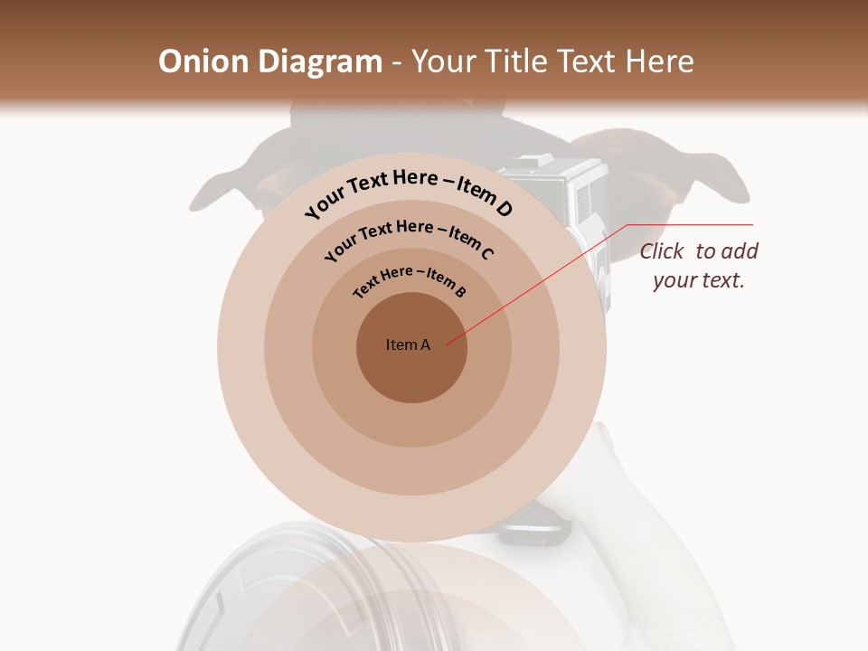 Show Photography Vision PowerPoint Template