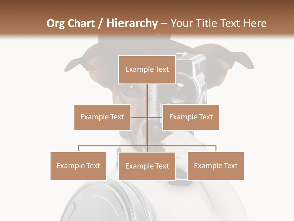 Show Photography Vision PowerPoint Template