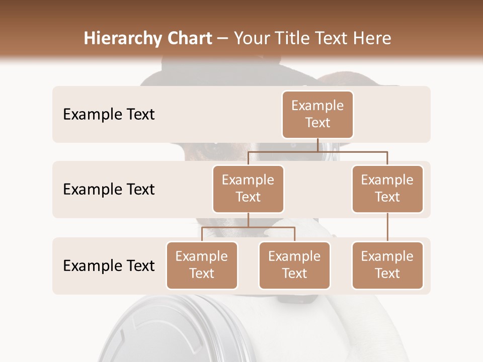 Show Photography Vision PowerPoint Template