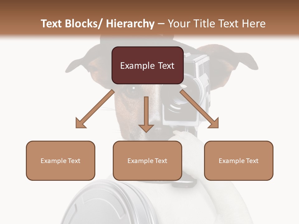 Show Photography Vision PowerPoint Template