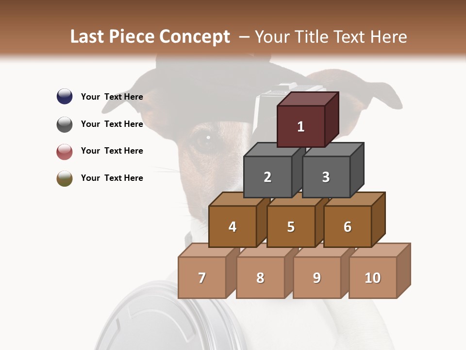 Show Photography Vision PowerPoint Template