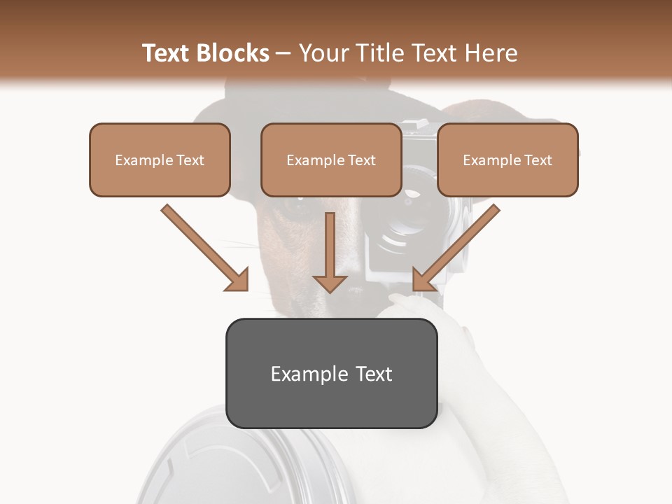 Show Photography Vision PowerPoint Template