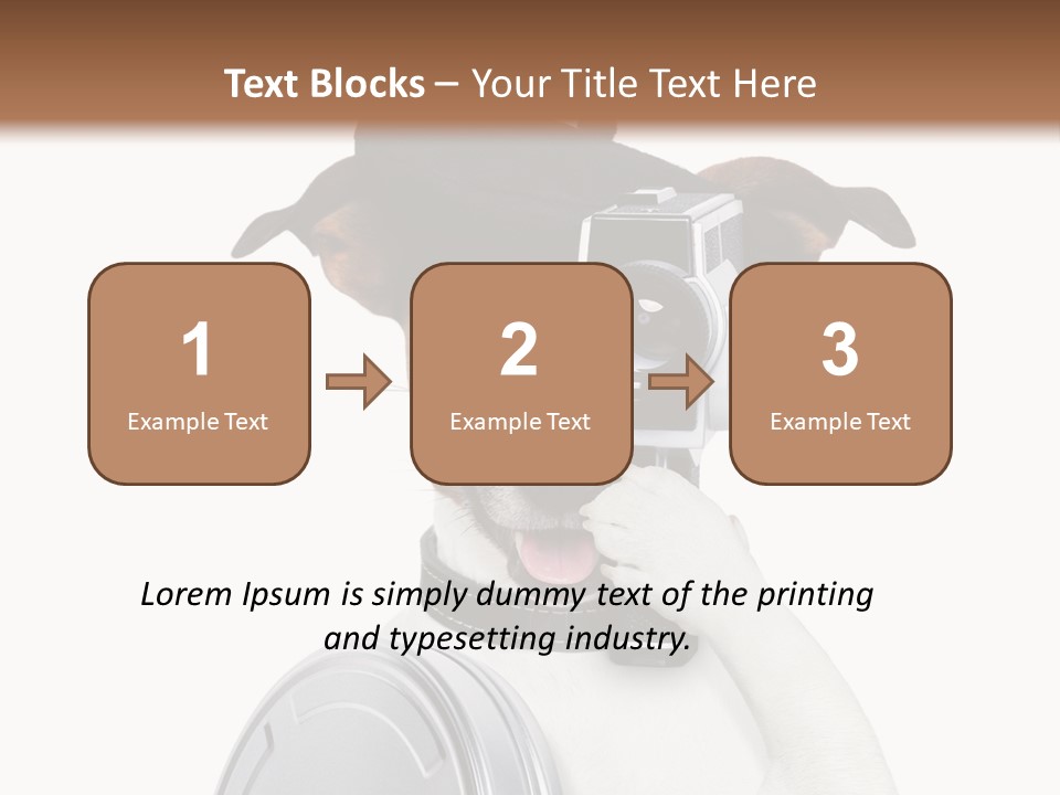 Show Photography Vision PowerPoint Template