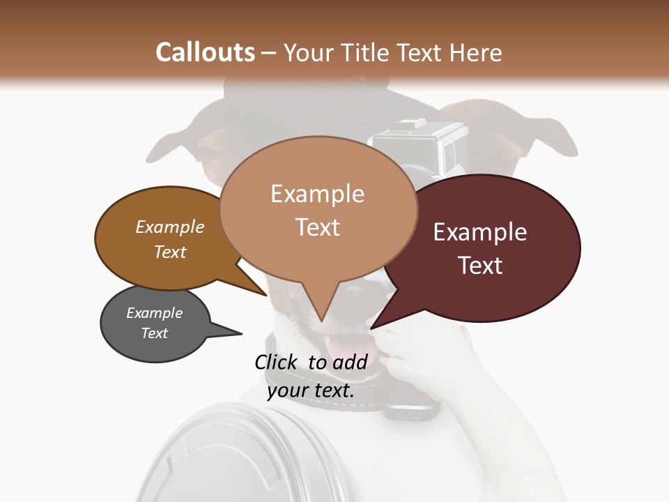 Show Photography Vision PowerPoint Template