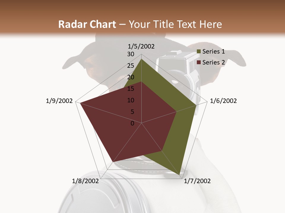 Show Photography Vision PowerPoint Template