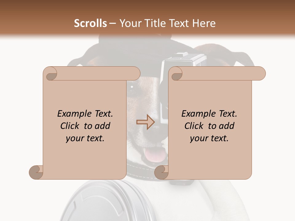 Show Photography Vision PowerPoint Template