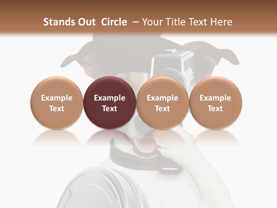 Show Photography Vision PowerPoint Template