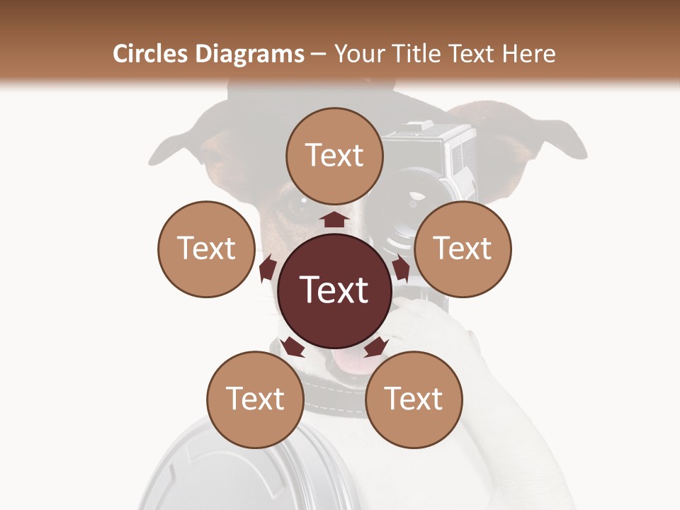 Show Photography Vision PowerPoint Template