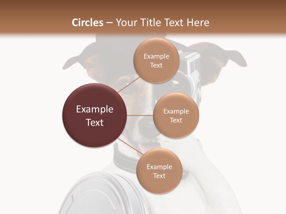 Show Photography Vision PowerPoint Template