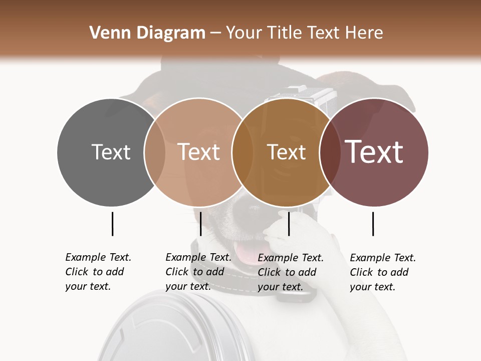 Show Photography Vision PowerPoint Template