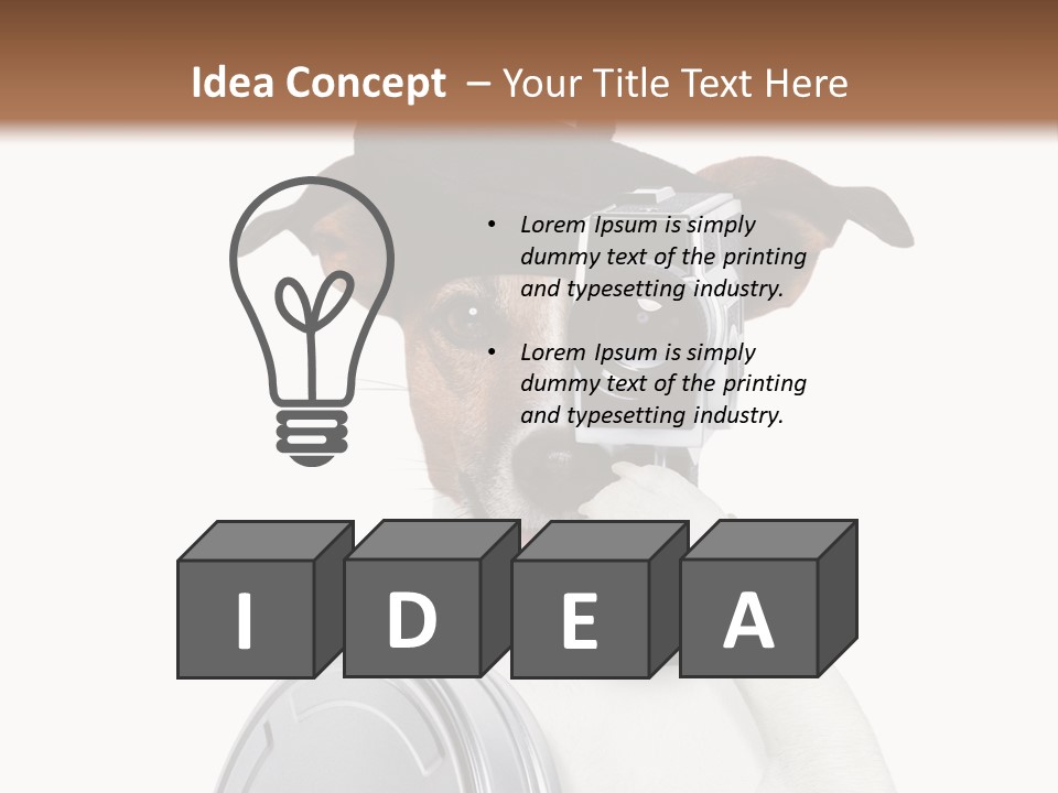 Show Photography Vision PowerPoint Template