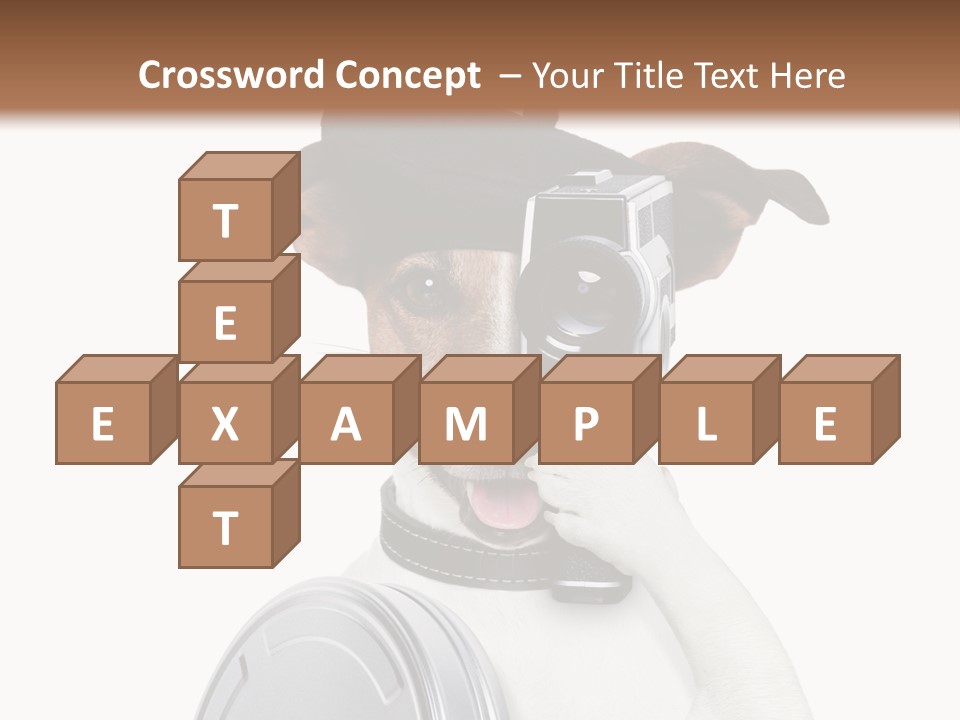 Show Photography Vision PowerPoint Template