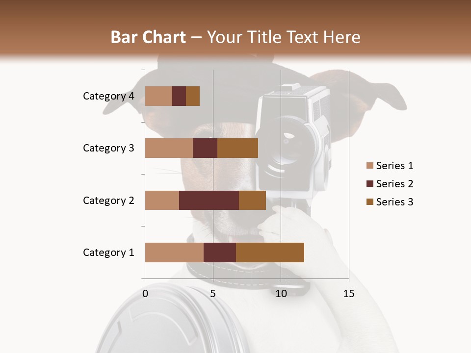 Show Photography Vision PowerPoint Template