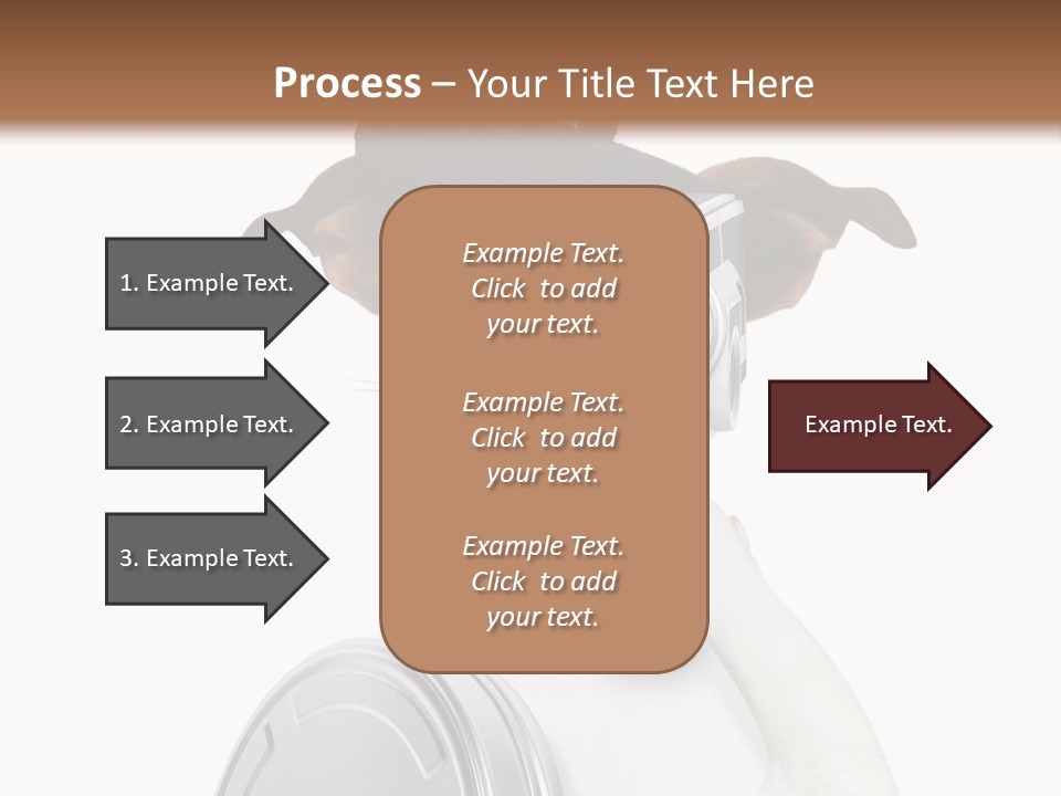 Show Photography Vision PowerPoint Template