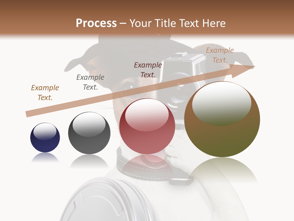 Show Photography Vision PowerPoint Template